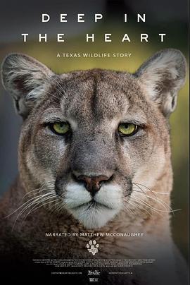 Deep in the Heart: A Texas Wildlife Story .2022 字幕下载