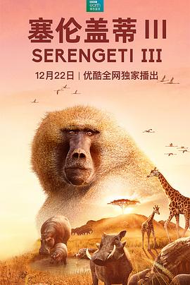 塞伦盖蒂 第三季 Serengeti Season 3.2022 字幕下载