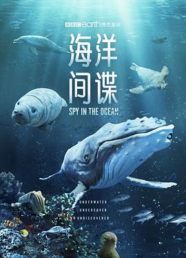 海洋间谍 Spy in the Ocean.2023 字幕下载