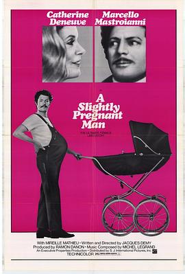 怀孕的男人 L'événement le plus important depuis que l'homme a marché sur la lune.1973 字幕下载