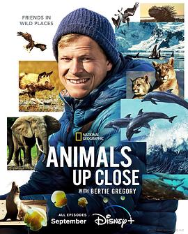 贝尔蒂·格雷戈里：与动物零距离 Animals Up Close with Bertie Gregory.2023 字幕下载