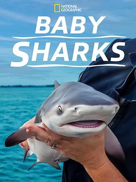 鲨鱼宝宝成长记 Baby Sharks.2022 字幕下载