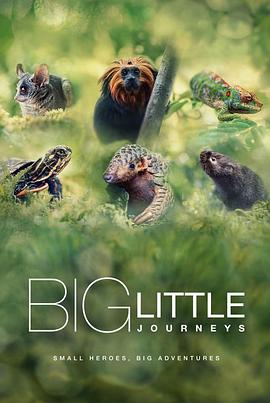 大大小小的旅行 第一季 Big Little Journeys Season 1.2023 字幕下载
