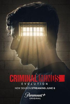 犯罪心理：演变 第十七季 Criminal Minds: Evolution Season 17.2024 字幕下载