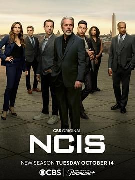 海军罪案调查处 第二十二季 NCIS: Naval Criminal Investigative Service Season 22.2024 字幕下载