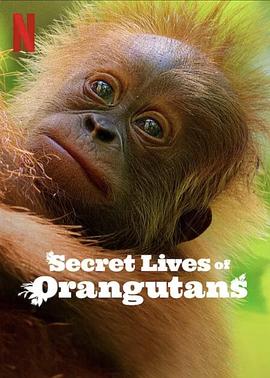红毛猩猩的秘密生活 Secret Lives of Orangutans.2024 字幕下载