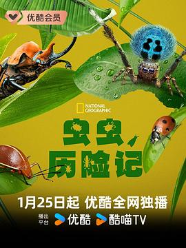 虫虫历险记 A Real Bug's Life.2024 字幕下载