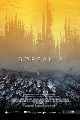 北方 Borealis.2020 字幕下载