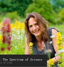 色彩的奥秘 Colour: The Spectrum of Science.2015 字幕下载