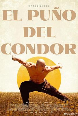雕形拳 El Puño del Cóndor.2023 字幕下载
