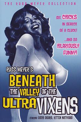 身陷悍妇谷 Beneath the Valley of the Ultra-Vixens.1979 字幕下载