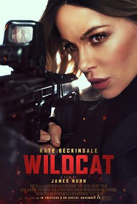 限时营救 Wildcat.2025 字幕下载