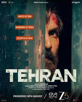 德黑兰 Tehran.2025 字幕下载