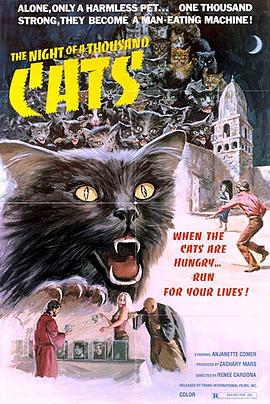 千猫夜 La noche de los mil gatos.1972 字幕下载
