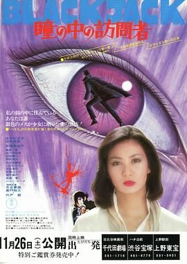 瞳孔中的访问者 瞳の中の訪問者.1977 字幕下载