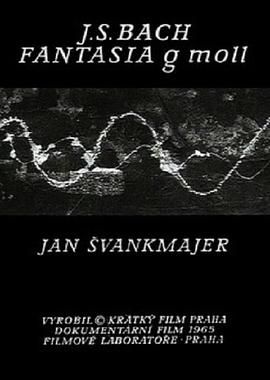 巴赫狂想曲 Johann Sebastian Bach: Fantasia G-moll.1965 字幕下载
