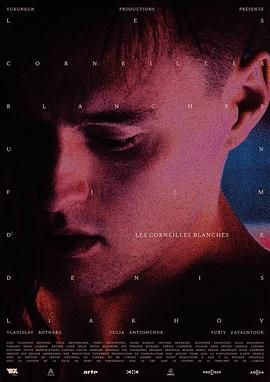 白乌鸦 Les corneilles blanches.2023 字幕下载