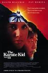 小子难缠3 The Karate Kid, Part III.1989 字幕下载