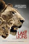 最后的狮子 The Last Lions.2011 字幕下载