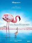 红色翅膀：火烈鸟故事 The Crimson Wing: Mystery of the Flamingos.2008 字幕下载