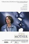 母亲的春天 The Mother.2003 字幕下载