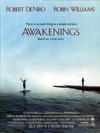 无语问苍天 Awakenings.1990 字幕下载