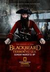绿林好汉海盗船长黑胡子 Blackbeard: Terror at Sea.2006 字幕下载