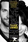 乌云背后的幸福线 Silver Linings Playbook.2012 字幕下载