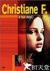 堕落街 Christiane F. - Wir Kinder vom Bahnhof Zoo.1981 字幕下载