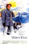 雪地黄金犬 White Fang.1991 字幕下载